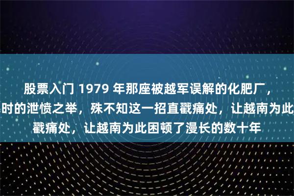 股票入门 1979 年那座被越军误解的化肥厂,他们以为是中国撤军时的泄愤之举,殊不知这一招直戳痛处,让越南为此困顿了漫长的数十年